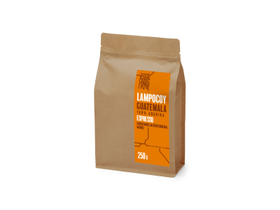 Lampocoy